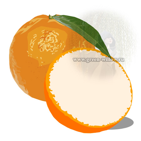 как нарисовать апельсин